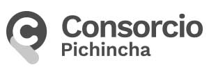 Logotipo Consorcio Pichincha BYN
